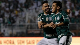 Palmeirenses comemoram durante vitória sobre o Santos no Brasileirão. Foto: Daniel Vorley/AGIF/Via UOL