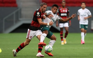 Verdão e Mengo tem jogo marcado para o próximo domingo (11), no estado Mané Garrincha. Foto: Cesar Greco