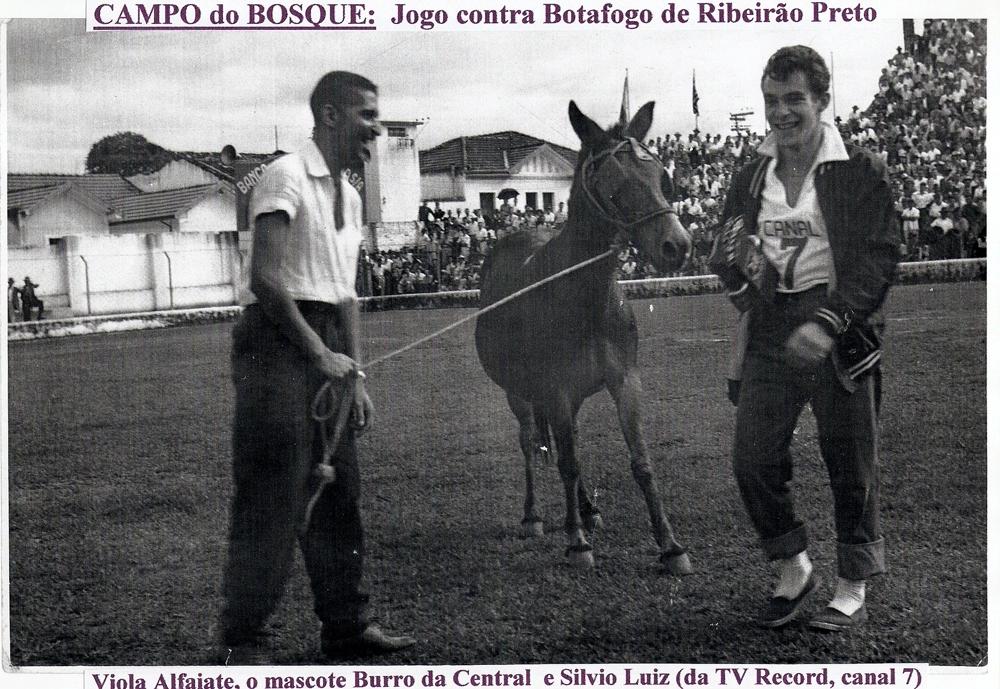 Silvio Luiz, à direita, ainda trabalhando na TV Record, brinca com o Burro da Central, mascote do Taubaté