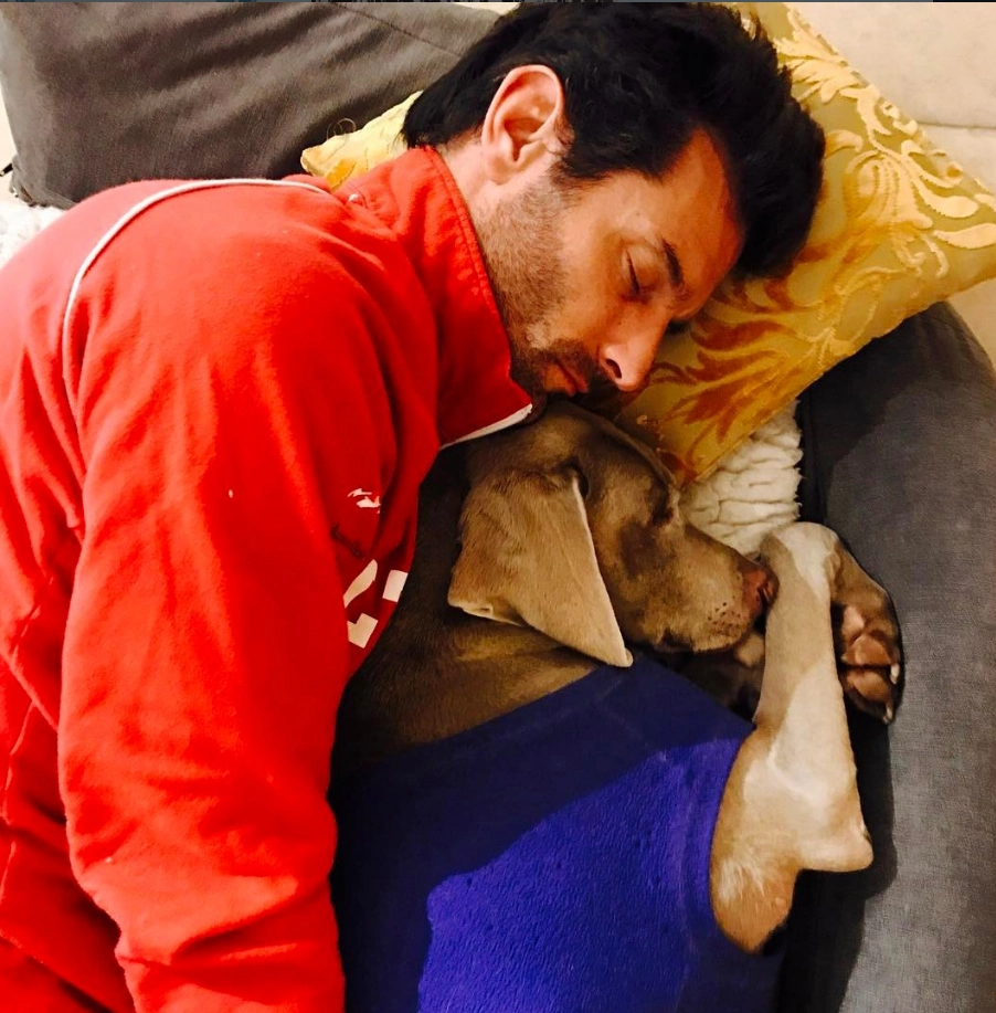 Em 5 de mar&ccedil;o de 2017, muito cansado, tirando um cochilo com uma &oacute;tima companhia. Foto: Instagram de Mark Webber