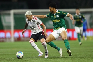 Rubro-Negro volta a enfrentar o Alviverde. Foto: Gilvan de Souza / CRF