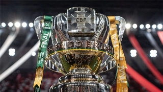 Líder Botafogo, eliminado pelo Bahia, dá adeus ao milionário torneio brasileiro. Foto: Divulgação